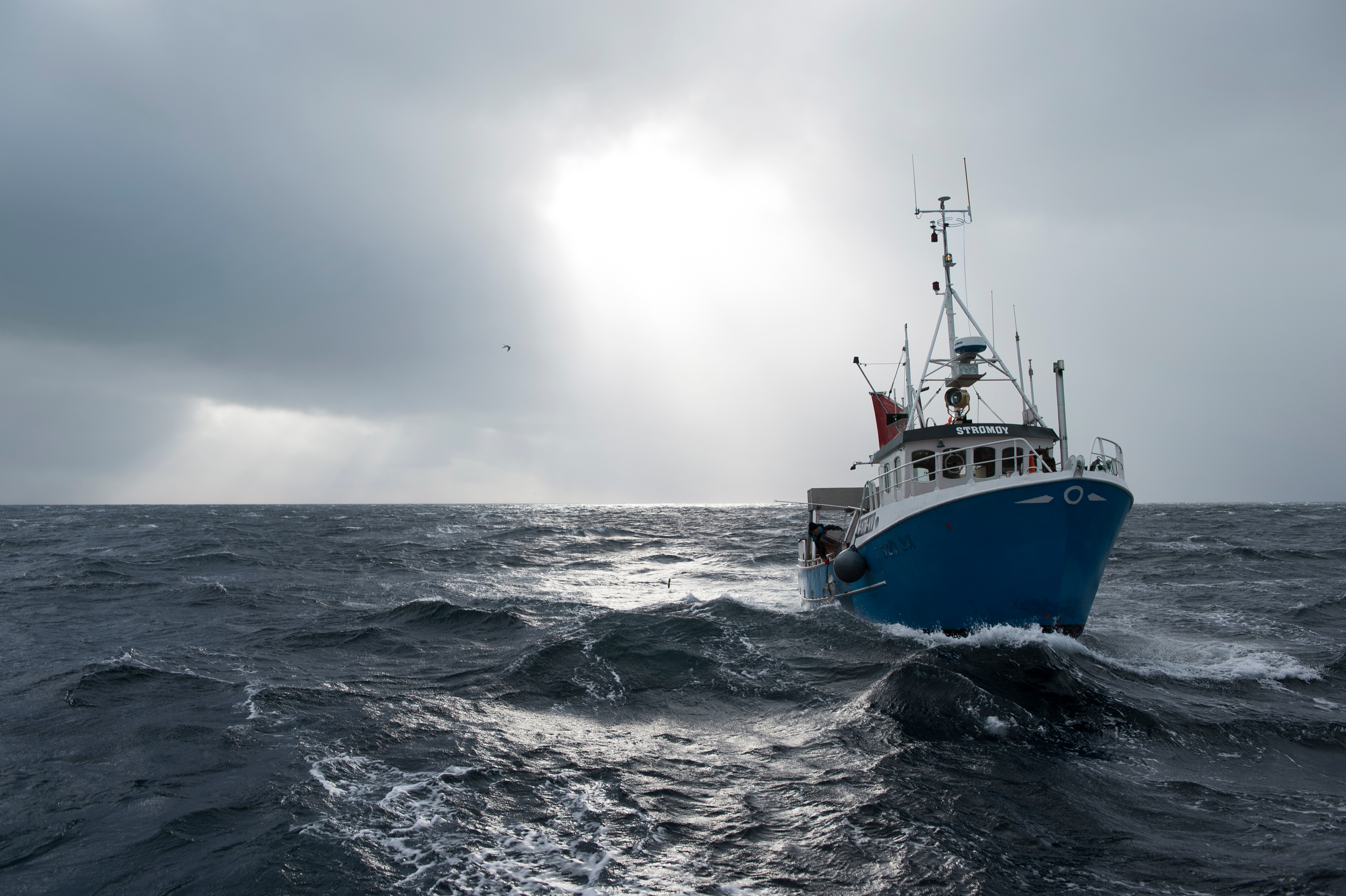 La Embajada de Noruega en México y The Norwegian Seafood Council promueven por segundo año consecutivo el auténtico bacalao noruego, como parte de múltiples recetas, además de la tradicional a la vizcaína

