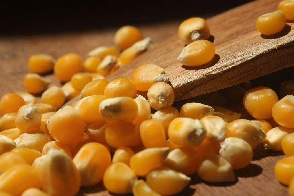 Popcorn! USA promueve el consumo de palomitas de maíz como un alimento saludable y versátil